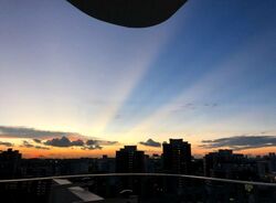 Queens Peak (D3), Condominium #454502261